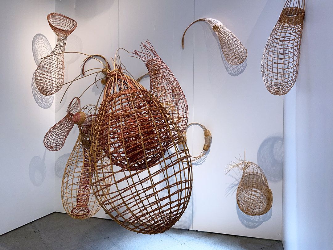 9 2022-05-14 12.58.26 Fauna